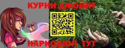 гидропоника Славгород