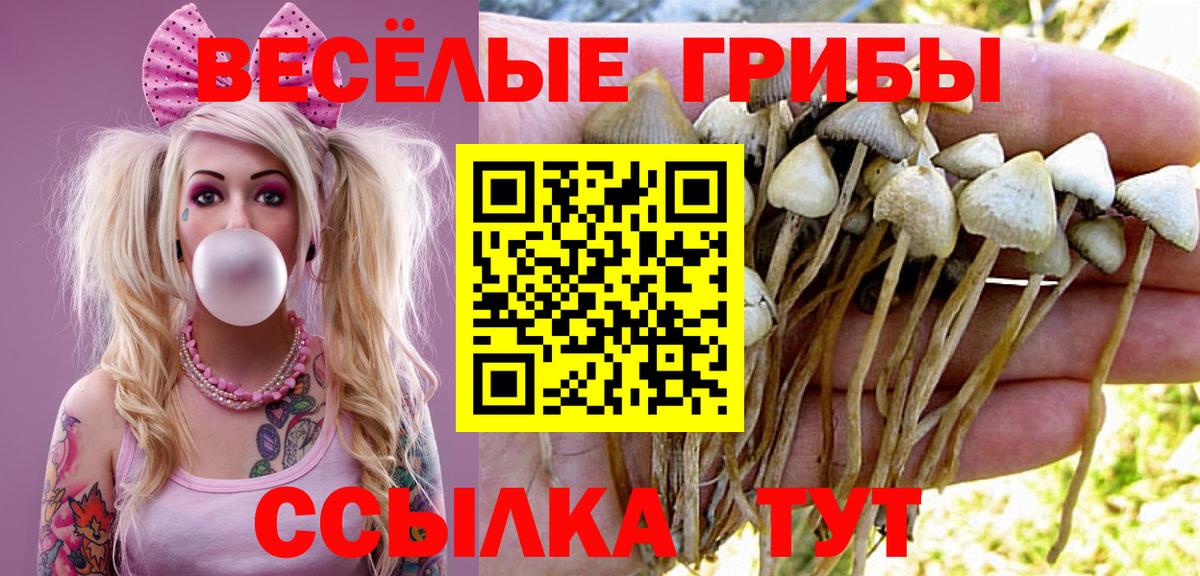 КОКАИН  Канабис  LSD-25  Экстази  Мелеуз  Вход с VPN  МЕФ кристаллы  ГАШИШ 