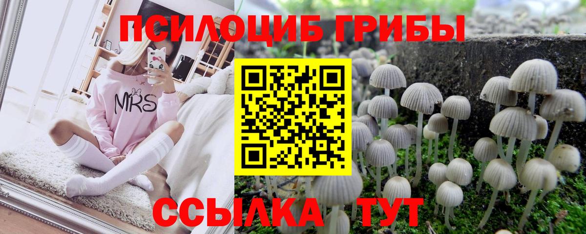 Галлюциногенные грибы прущие грибы Мелеуз