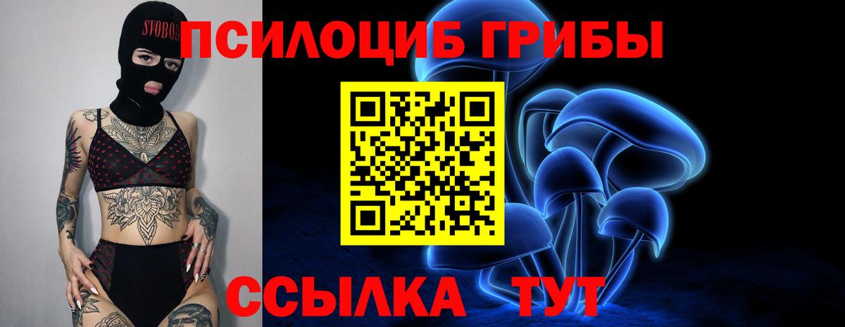 Псилоцибиновые грибы MAGIC MUSHROOMS  Вход с VPN  Мелеуз  закладка  Галлюциногенные грибы Psilocybine cubensis 